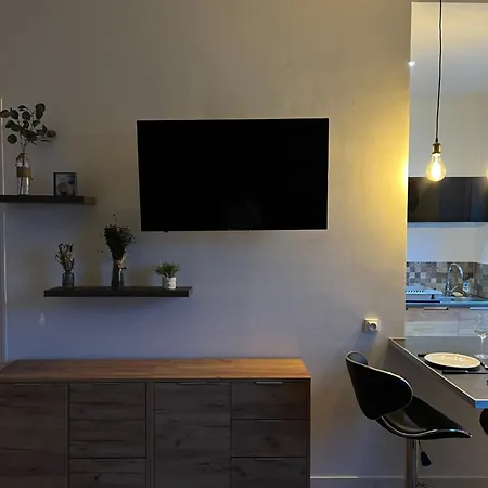 L'ecrin De - Hypercentre - Thermes & Parcs - Ancien Palace 公寓