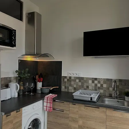 L'ecrin De - Hypercentre - Thermes & Parcs - Ancien Palace וישי