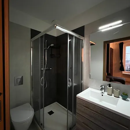 L'ecrin De - Hypercentre - Thermes & Parcs - Ancien Palace 公寓 维琪