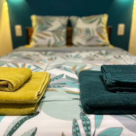 L'ecrin De - Hypercentre - Thermes & Parcs - Ancien Palace * 维琪