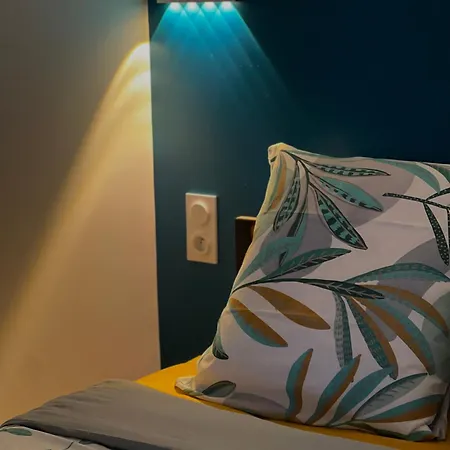 L'ecrin De - Hypercentre - Thermes & Parcs - Ancien Palace דירה *