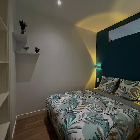 公寓 L'ecrin De - Hypercentre - Thermes & Parcs - Ancien Palace