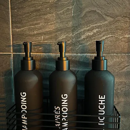 דירה L'ecrin De - Hypercentre - Thermes & Parcs - Ancien Palace וישי