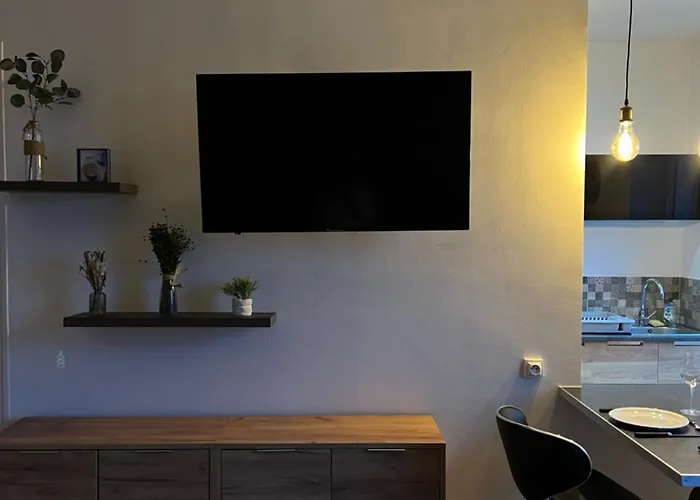 L'ecrin De - Hypercentre - Thermes & Parcs - Ancien Palace דירה