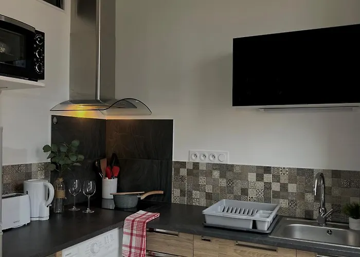 L'ecrin De - Hypercentre - Thermes & Parcs - Ancien Palace וישי