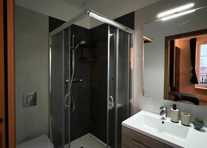 L'ecrin De - Hypercentre - Thermes & Parcs - Ancien Palace アパート ヴィシー