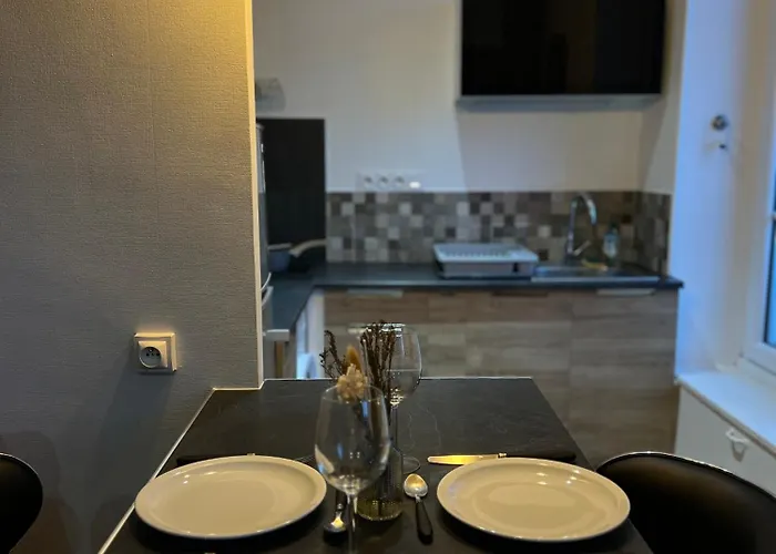 L'ecrin De - Hypercentre - Thermes & Parcs - Ancien Palace וישי