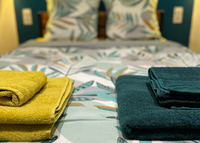 L'ecrin De - Hypercentre - Thermes & Parcs - Ancien Palace * וישי