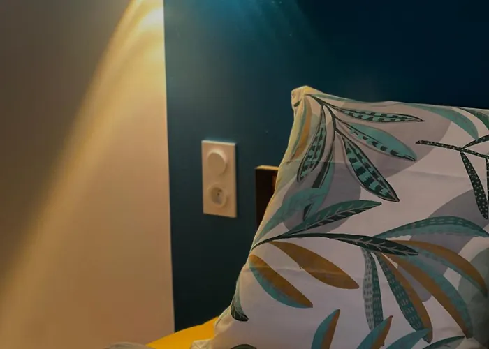 L'ecrin De - Hypercentre - Thermes & Parcs - Ancien Palace דירה *