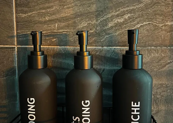 דירה L'ecrin De - Hypercentre - Thermes & Parcs - Ancien Palace וישי